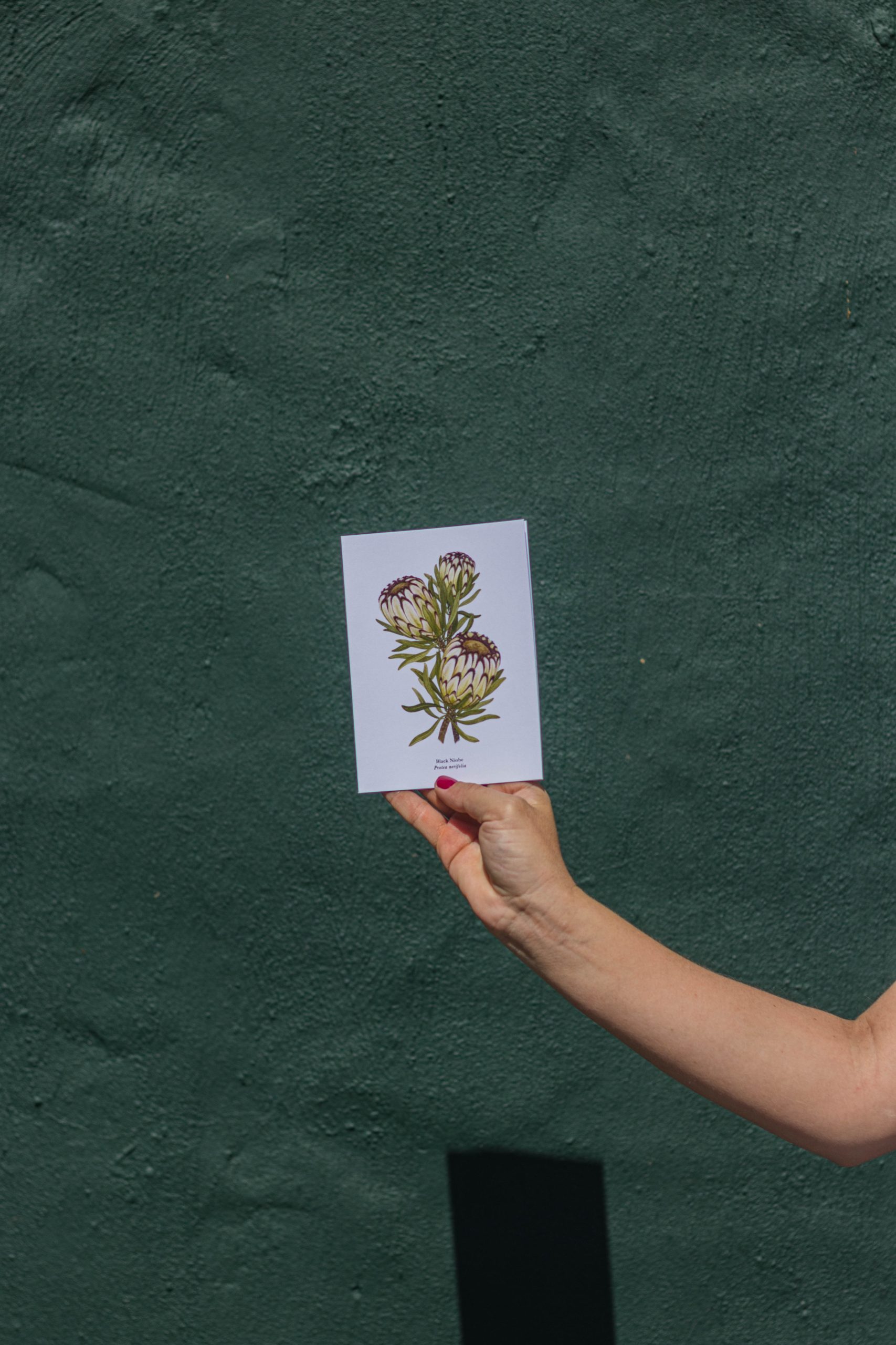 Flower Card 12