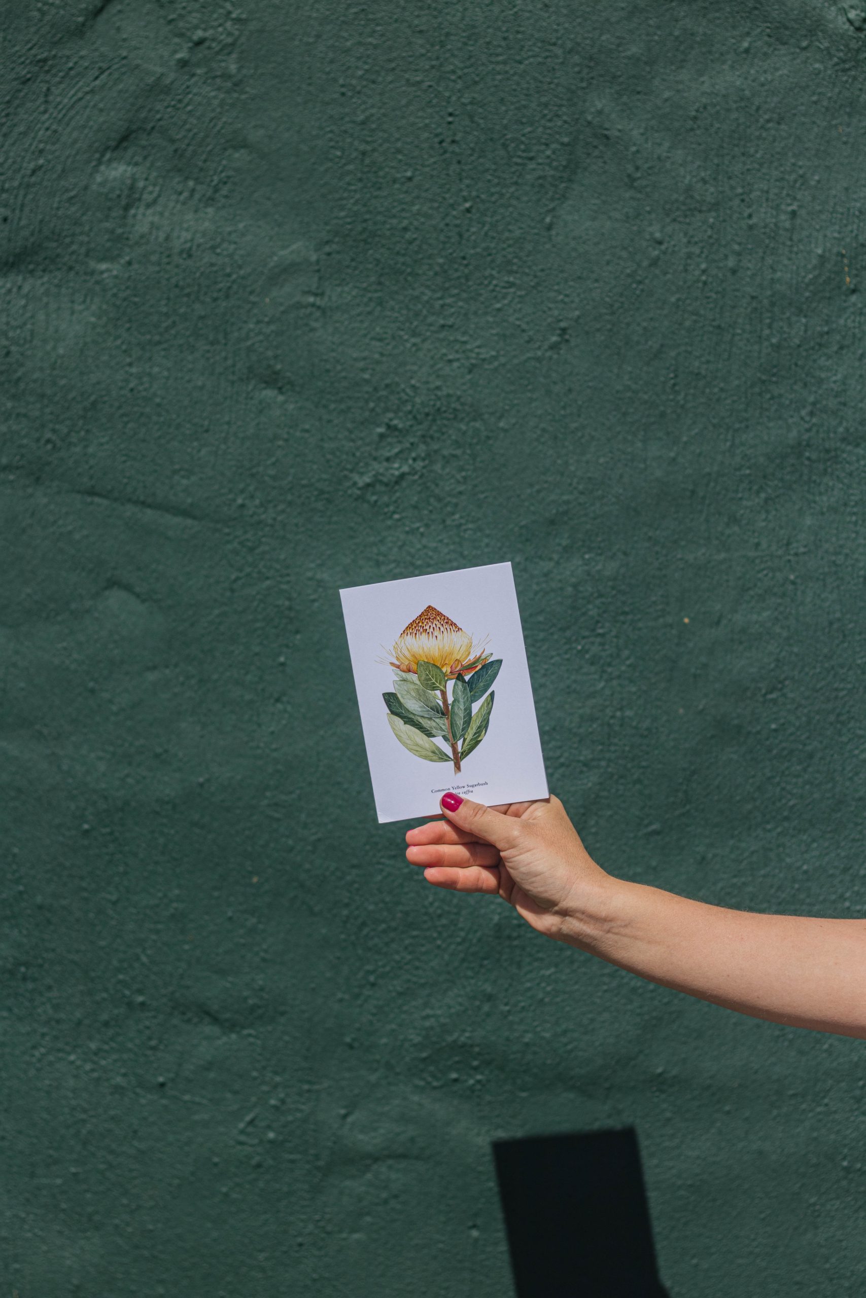 Flower Card 14