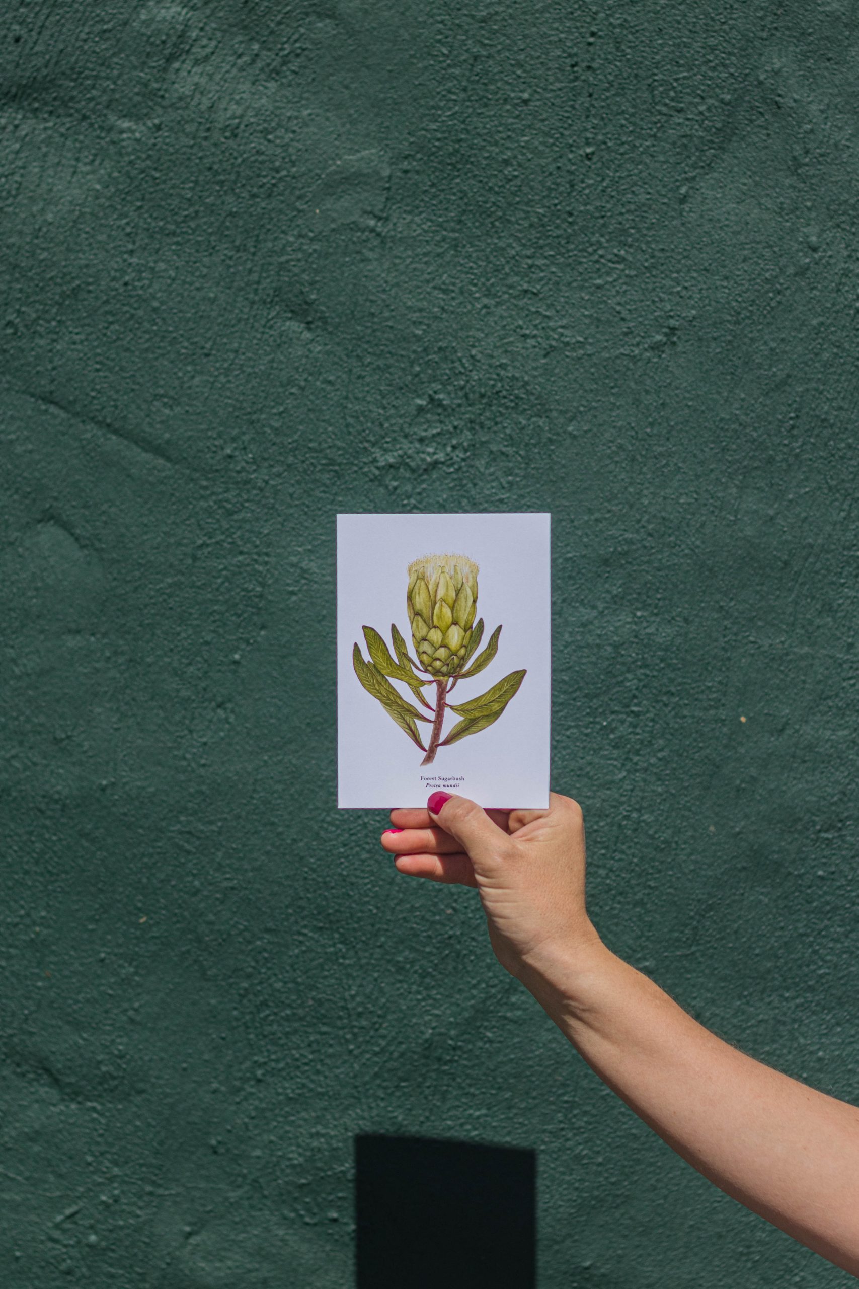 Flower Card 15