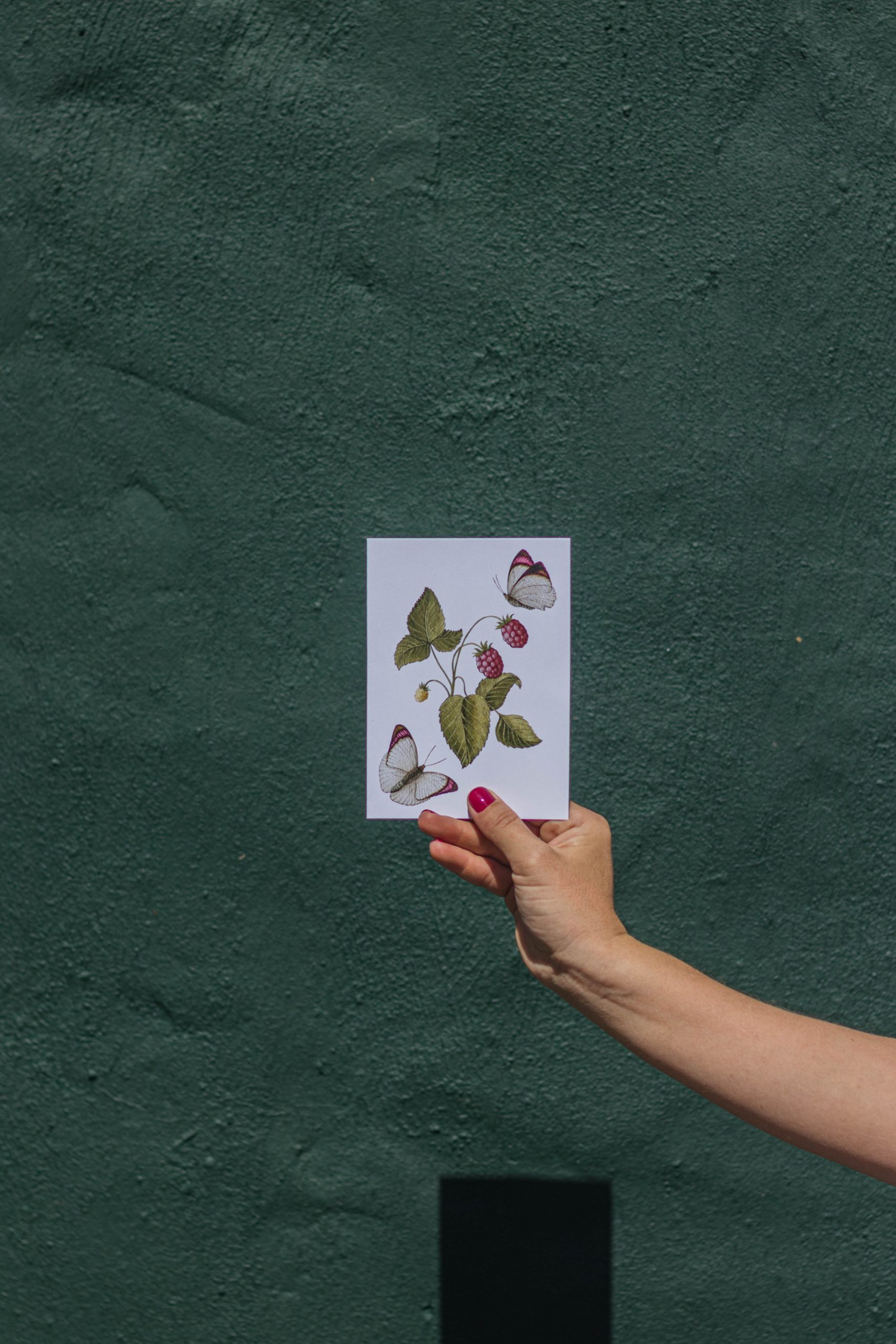 Flower Card 6