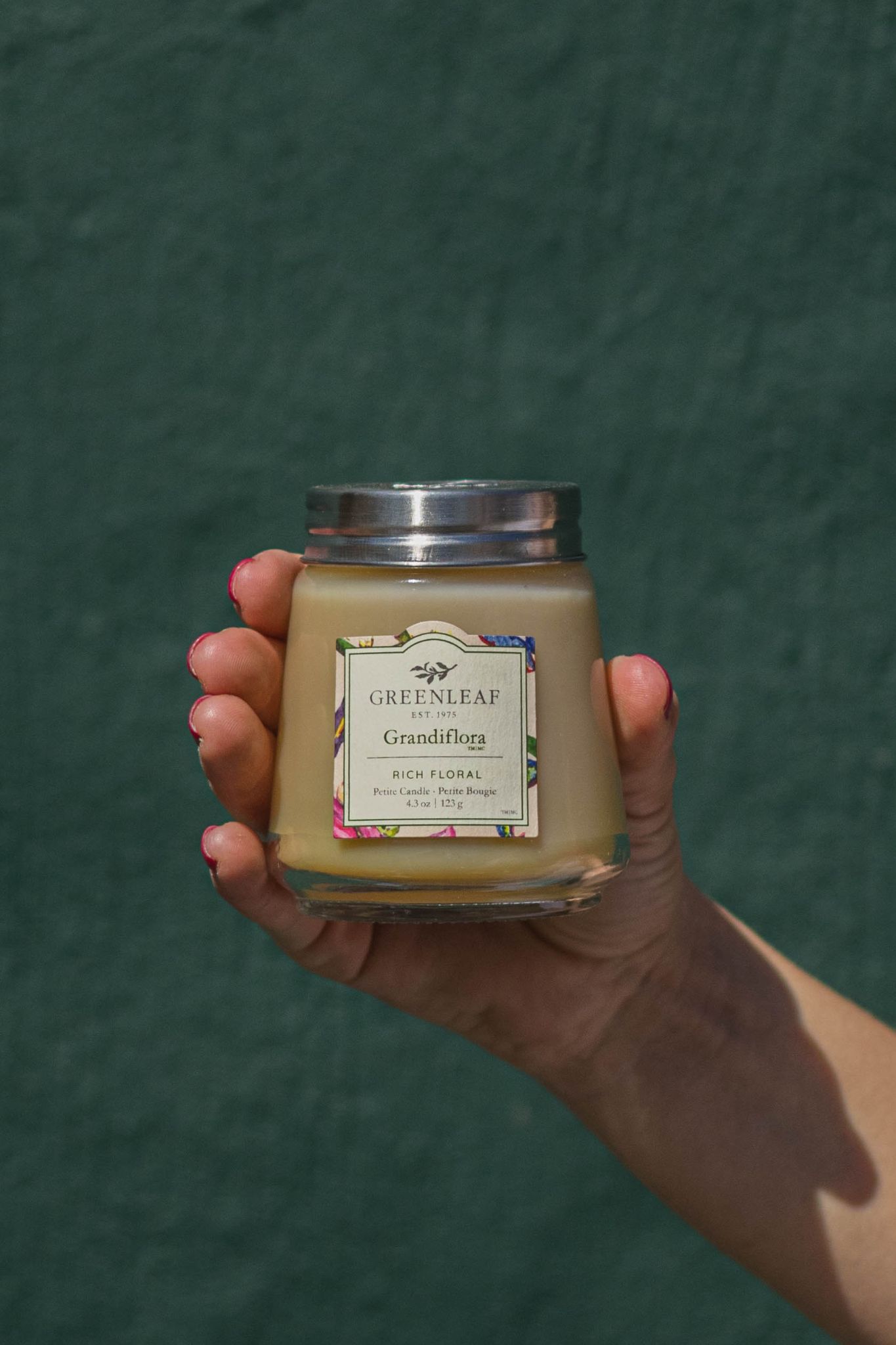 Petit Candle - Grandiflora